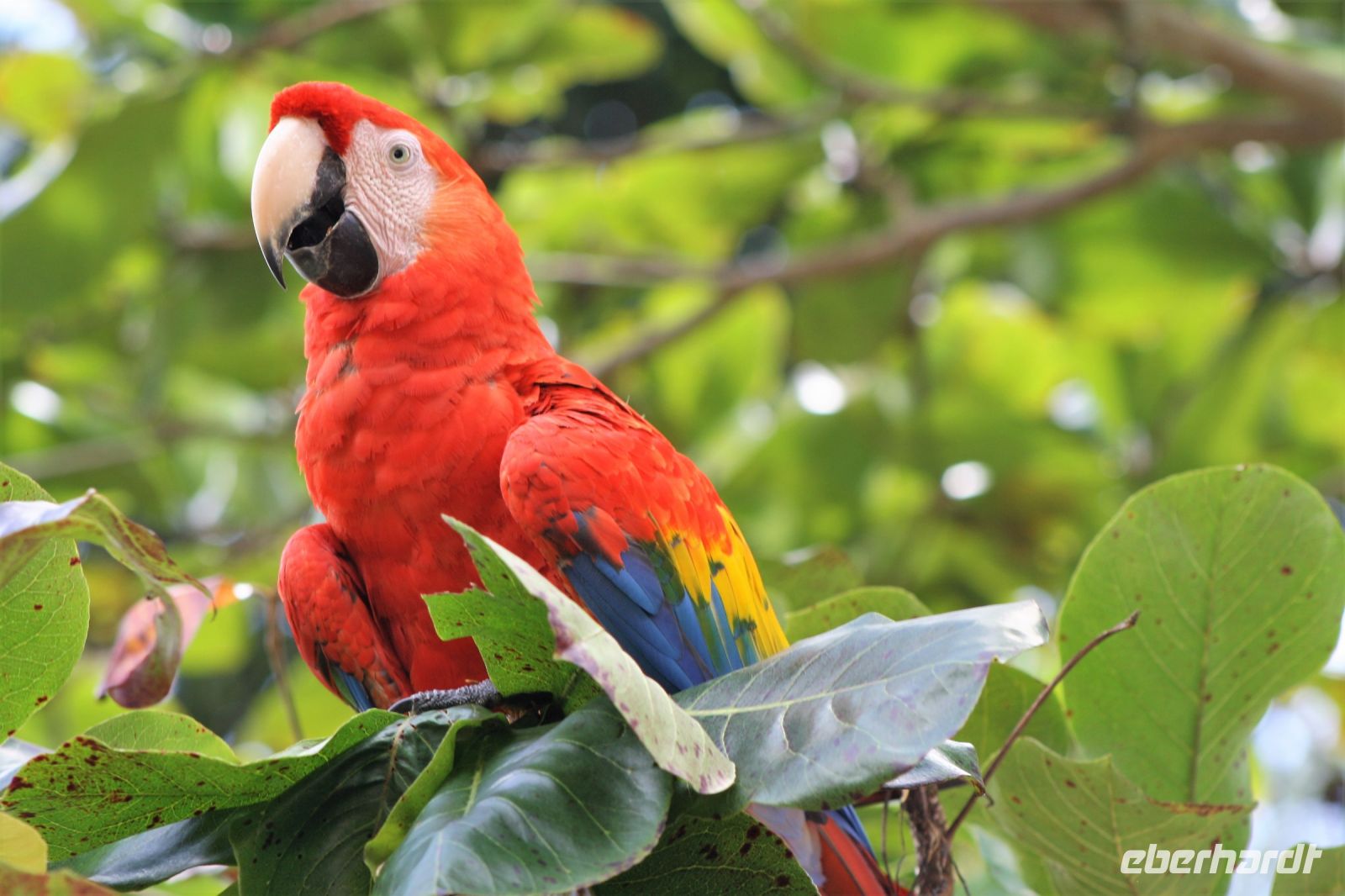 6. Tag - 19.10.21.JPG