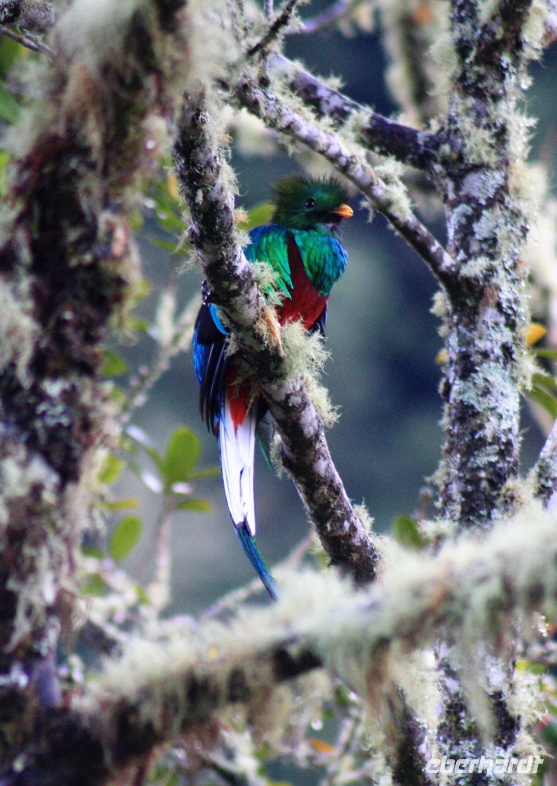 7. Tag - 20.10.21.JPG