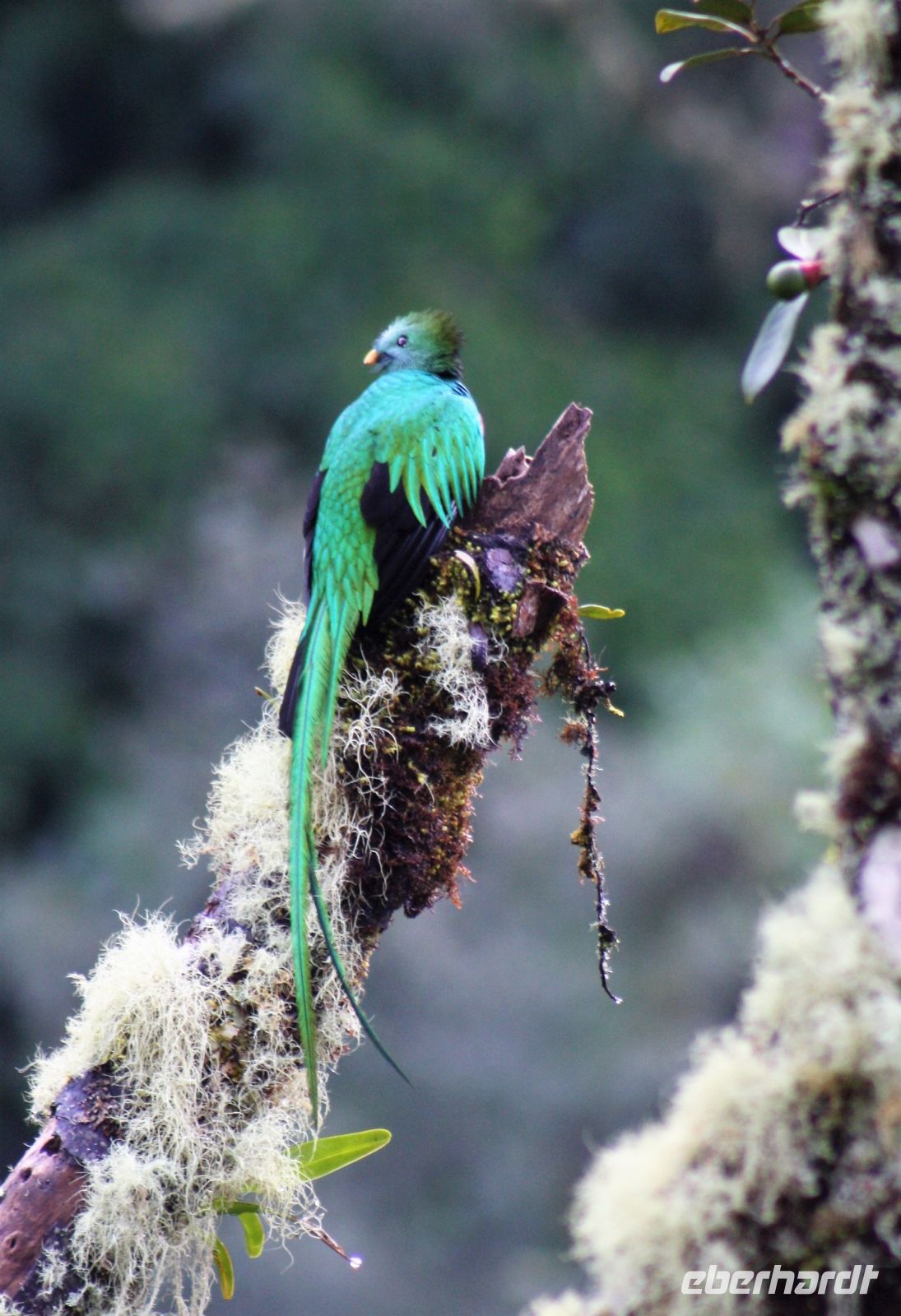 7. Tag - 20.10.21.JPG