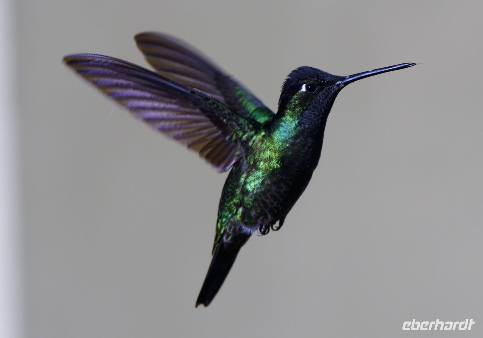 7. Tag - 20.10.21.JPG