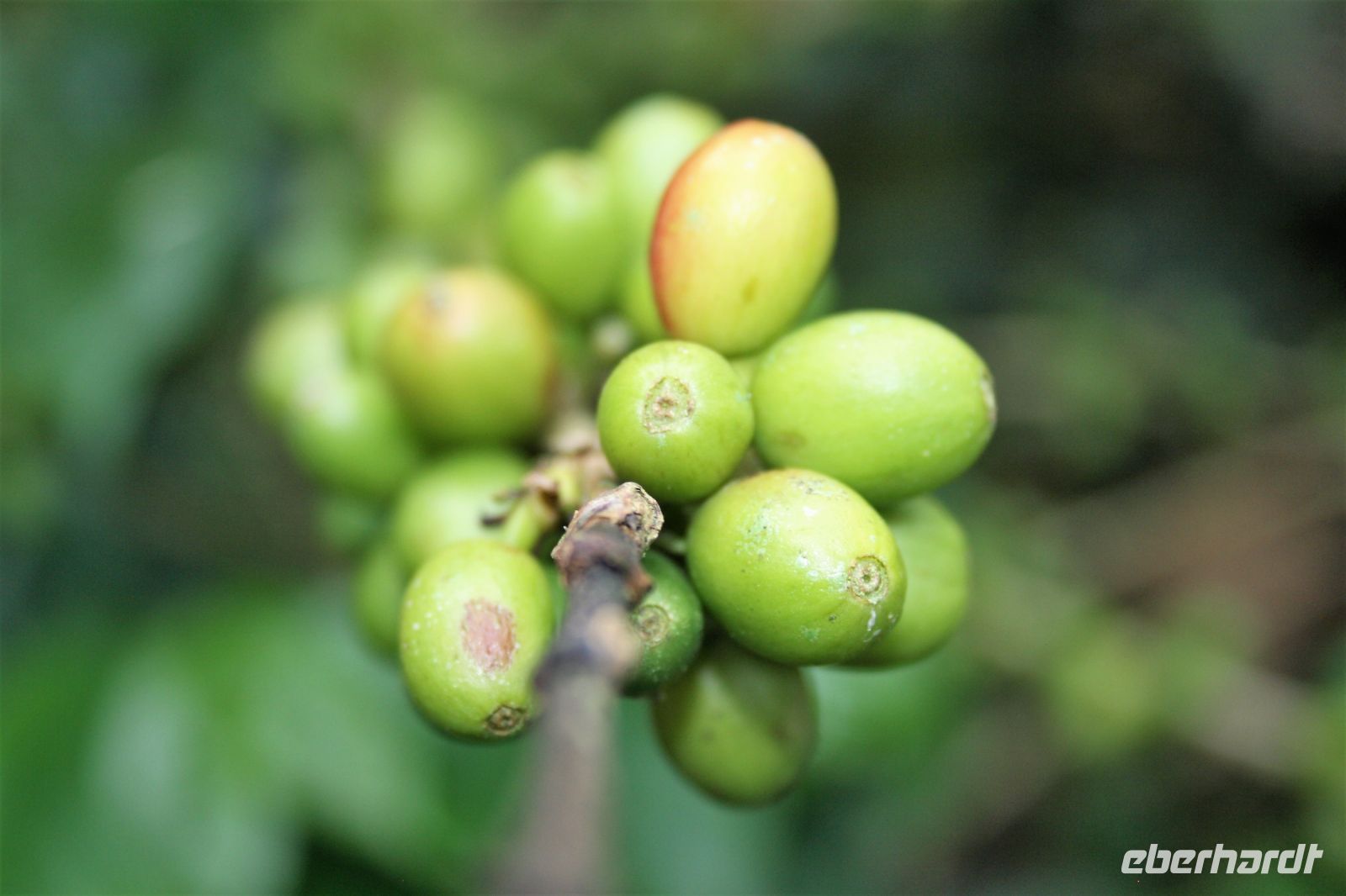 7. Tag - 20.10.21.JPG