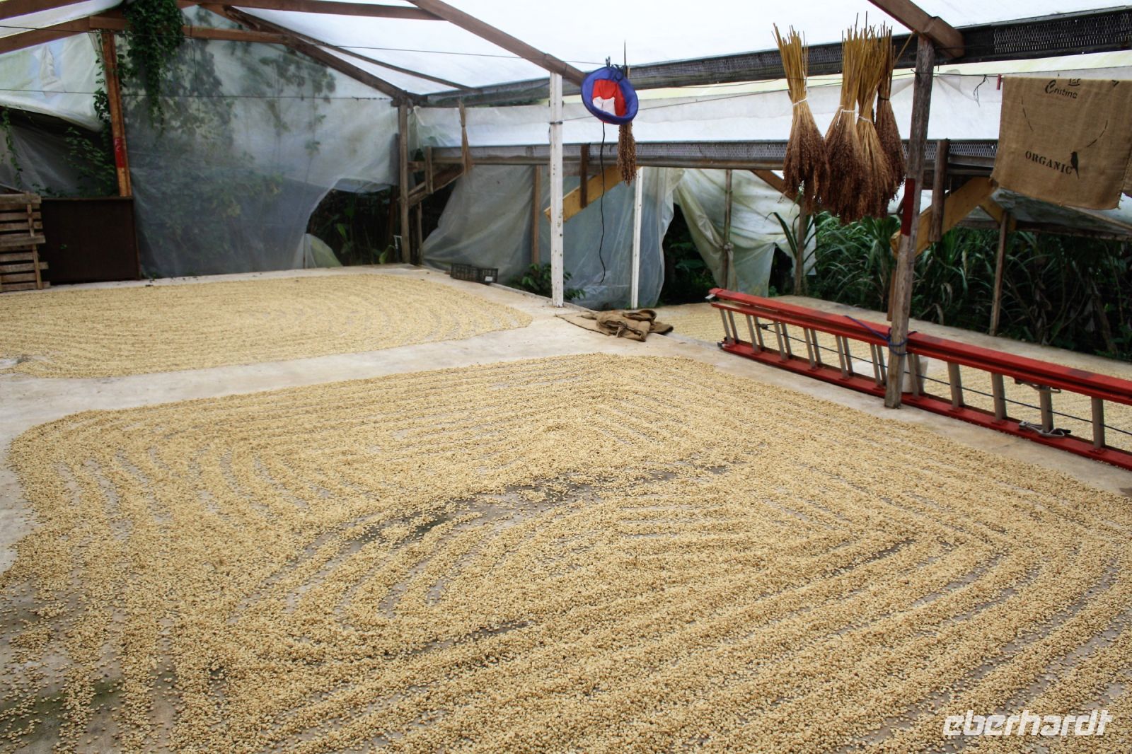 7. Tag - 20.10.21.JPG