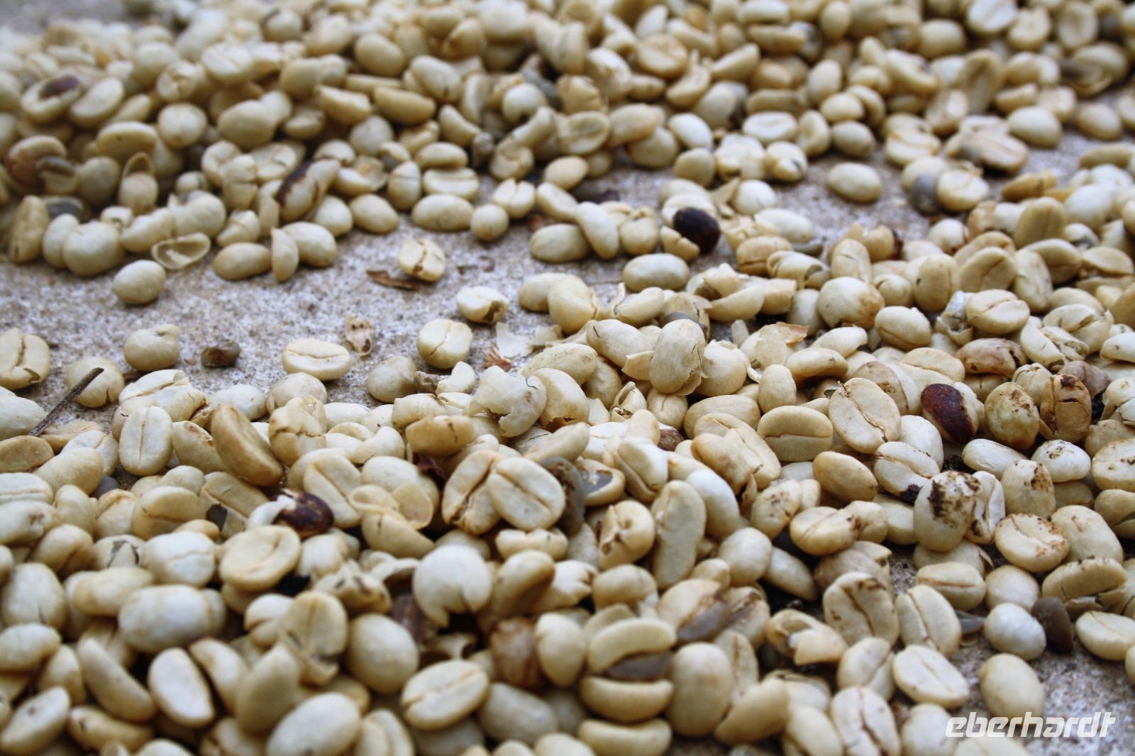 7. Tag - 20.10.21.JPG