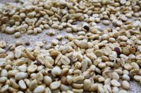 7. Tag - 20.10.21.JPG