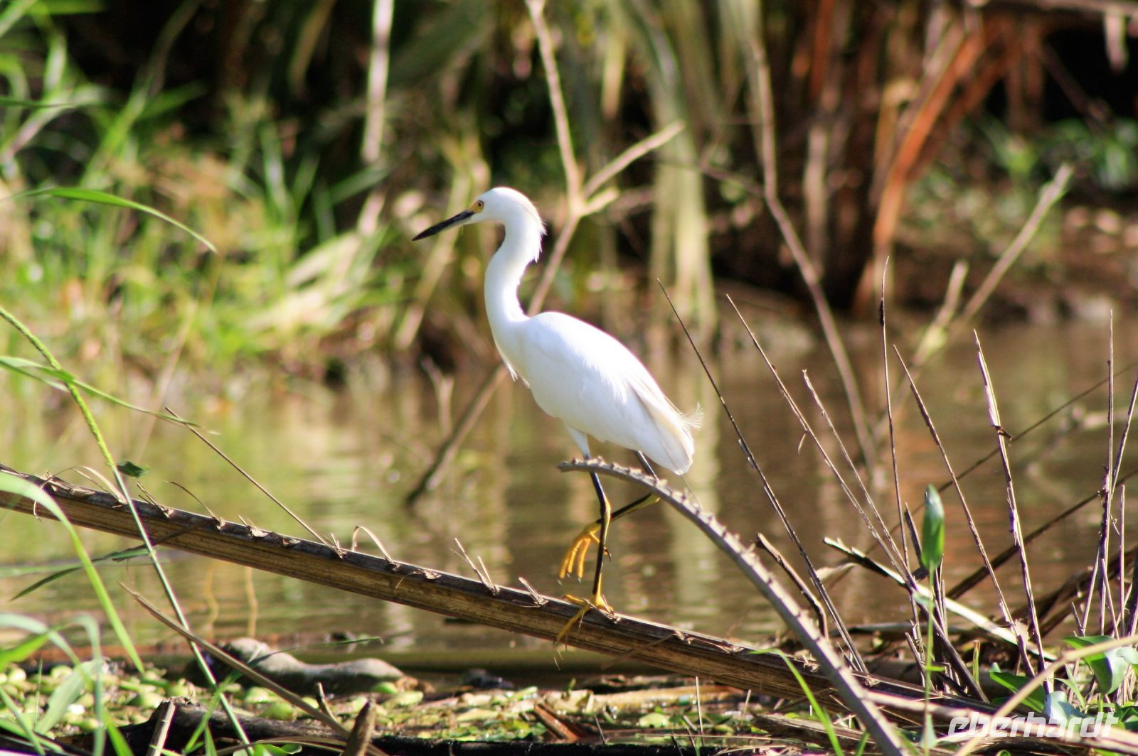 10. Tag - 23.10.21.JPG