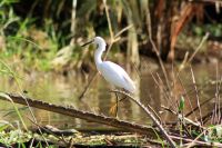 10. Tag - 23.10.21.JPG