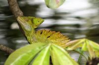 11. Tag - 24.10.21.JPG