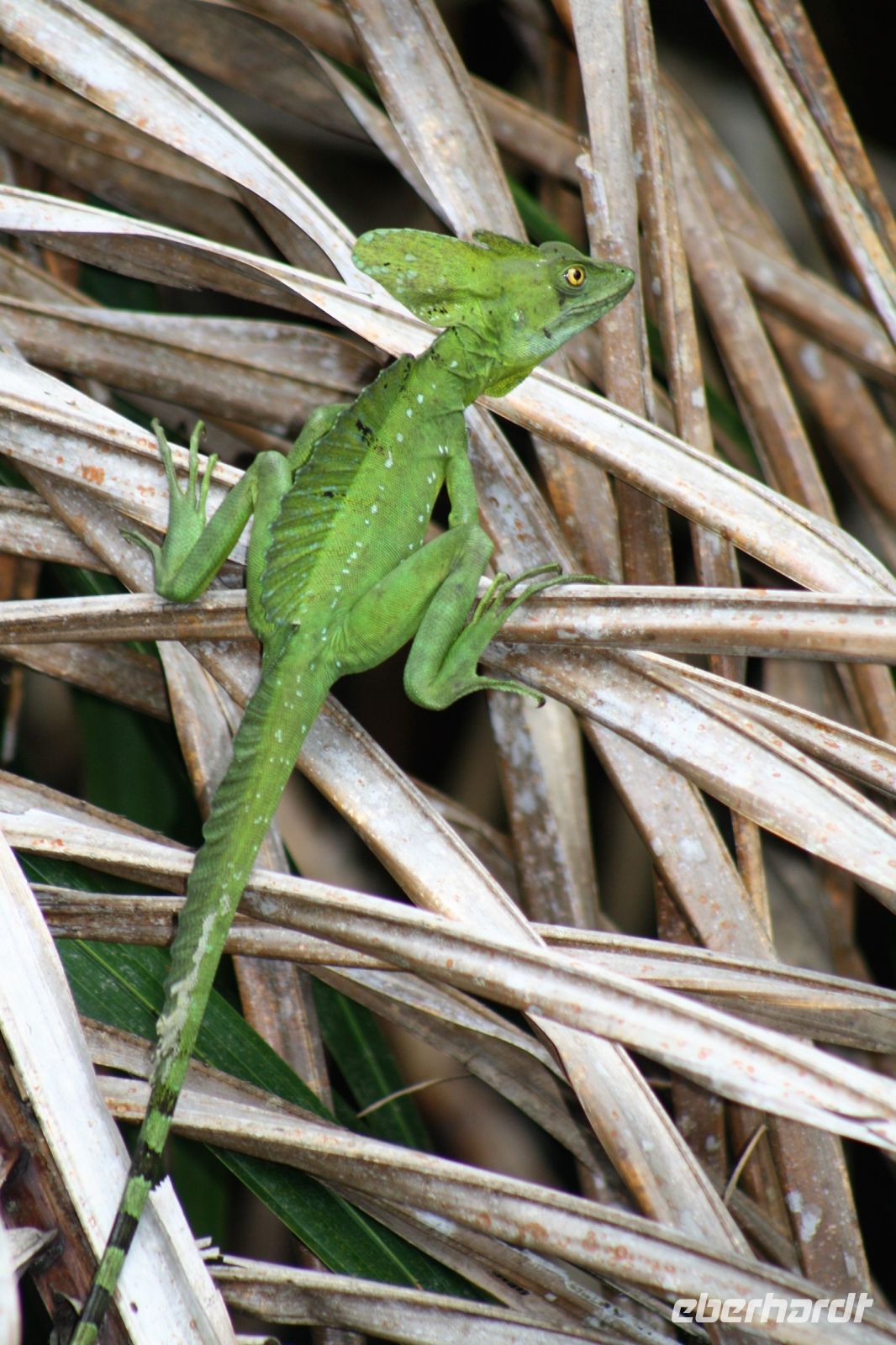 11. Tag - 24.10.21.JPG