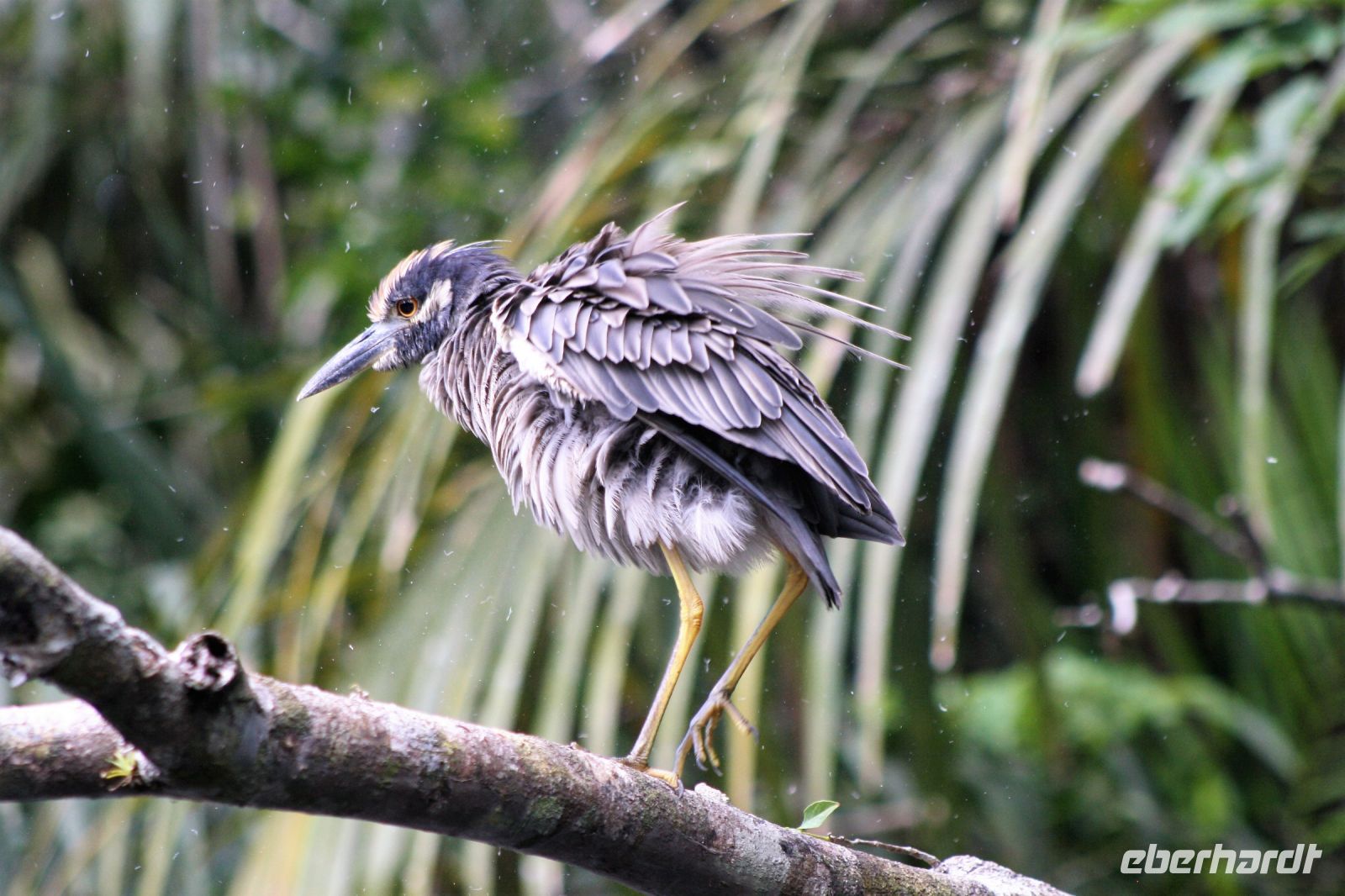 11. Tag - 24.10.21.JPG