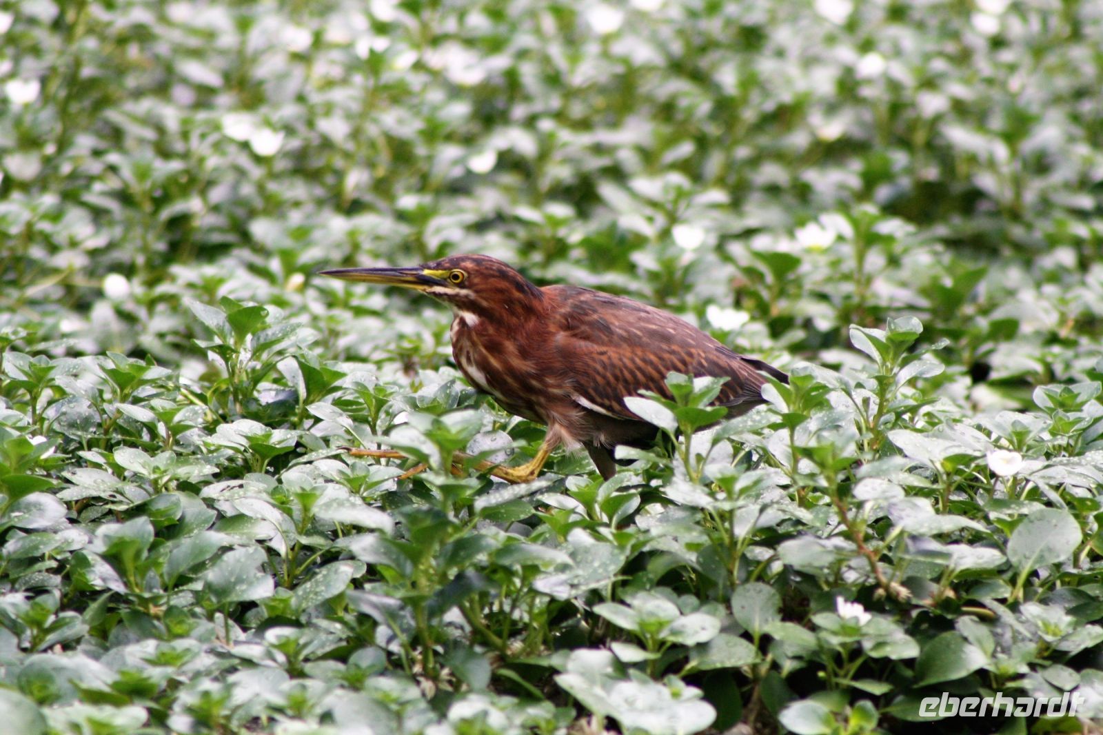 11. Tag - 24.10.21.JPG