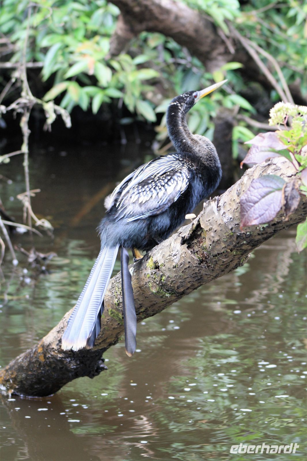 11. Tag - 24.10.21.JPG