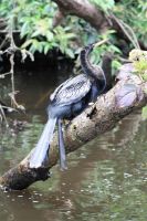 11. Tag - 24.10.21.JPG