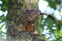 11. Tag - 24.10.21.JPG