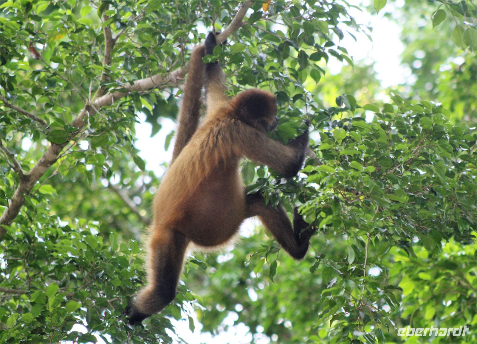 11. Tag - 24.10.21.JPG