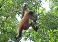 11. Tag - 24.10.21.JPG