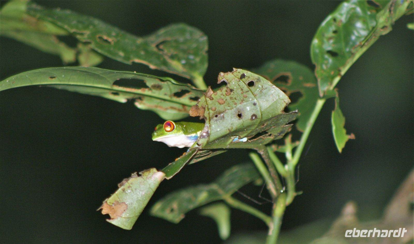 11. Tag - 24.10.21.JPG