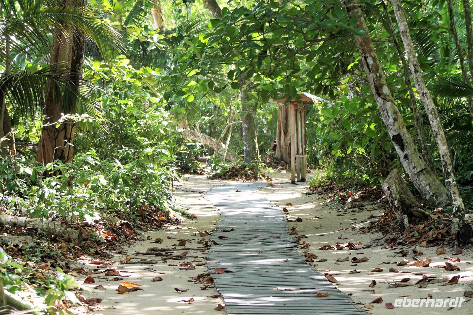 13. Tag - 26.10.21.JPG