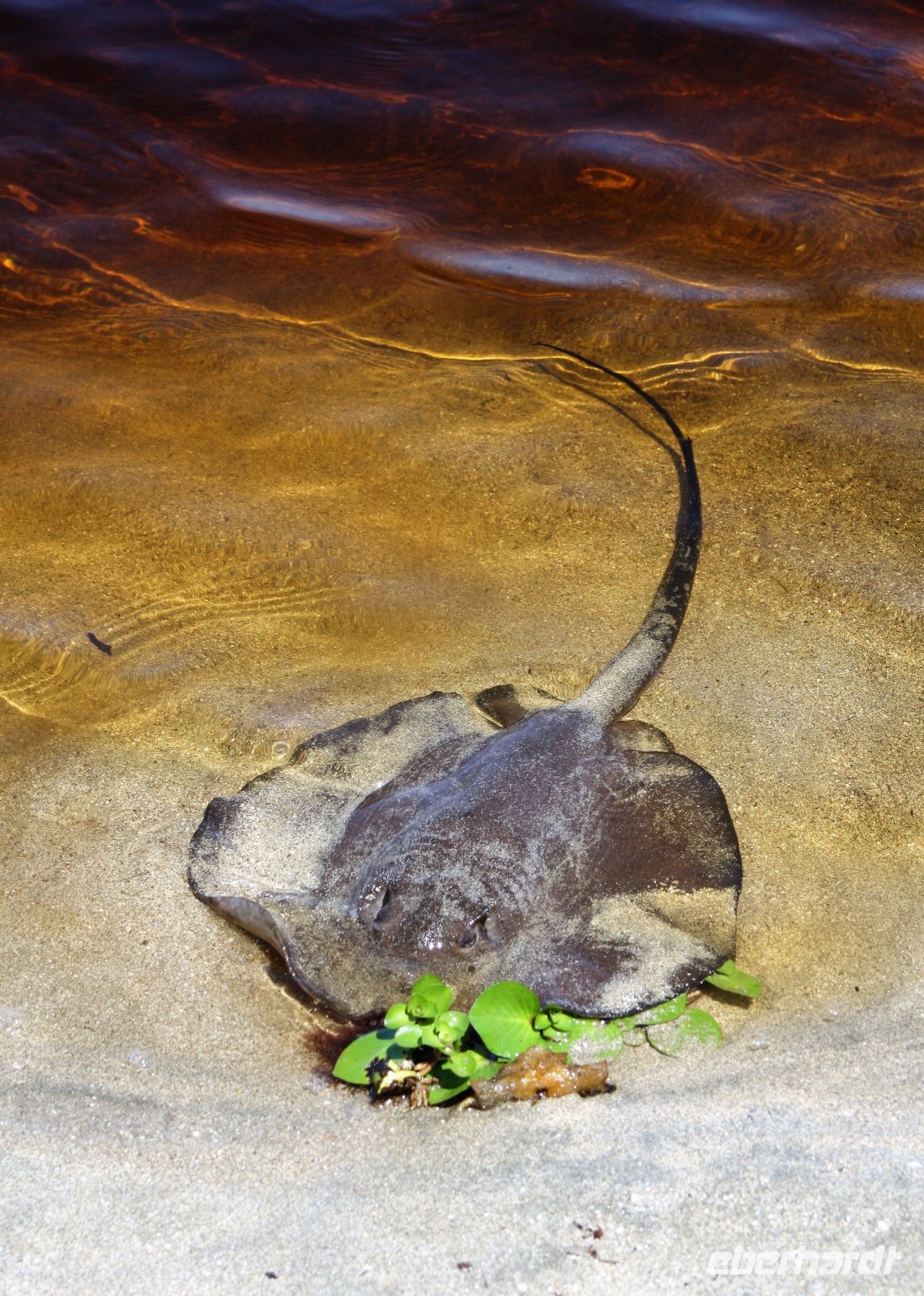 13. Tag - 26.10.21.JPG