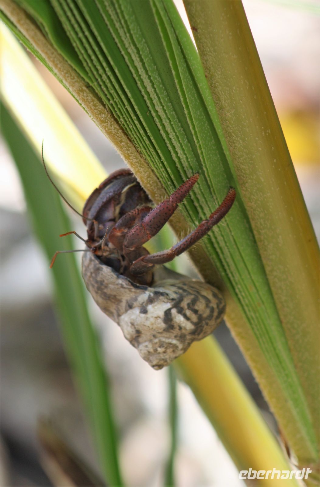 13. Tag - 26.10.21.JPG