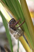 13. Tag - 26.10.21.JPG