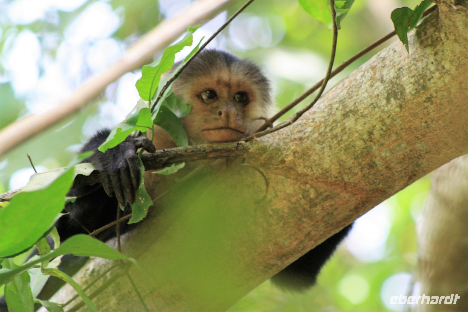 13. Tag - 26.10.21.JPG