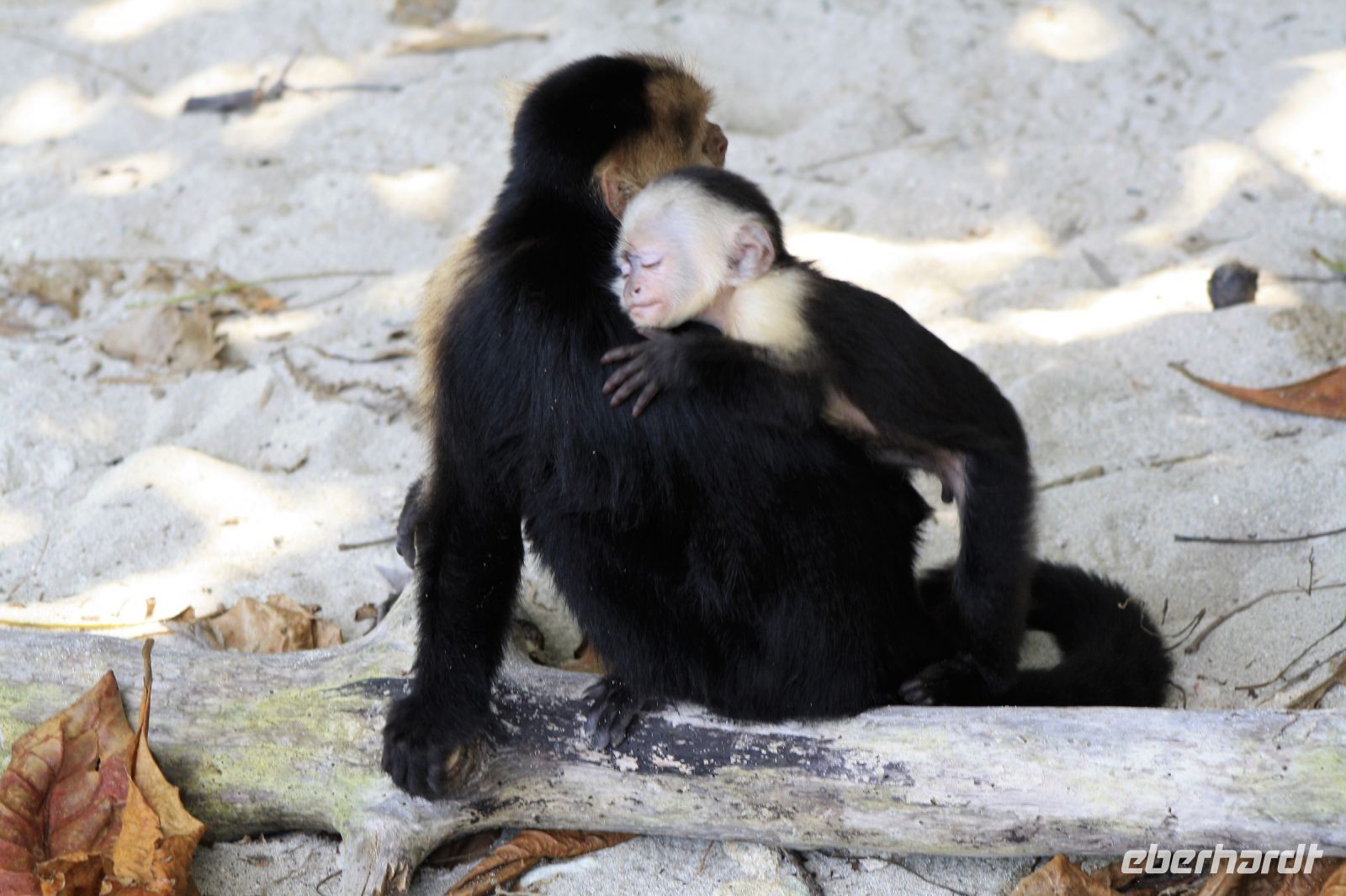 13. Tag - 26.10.21.JPG