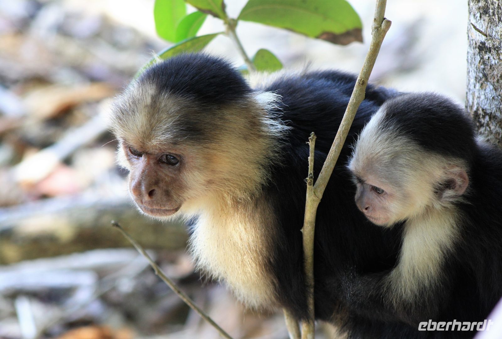 13. Tag - 26.10.21.JPG