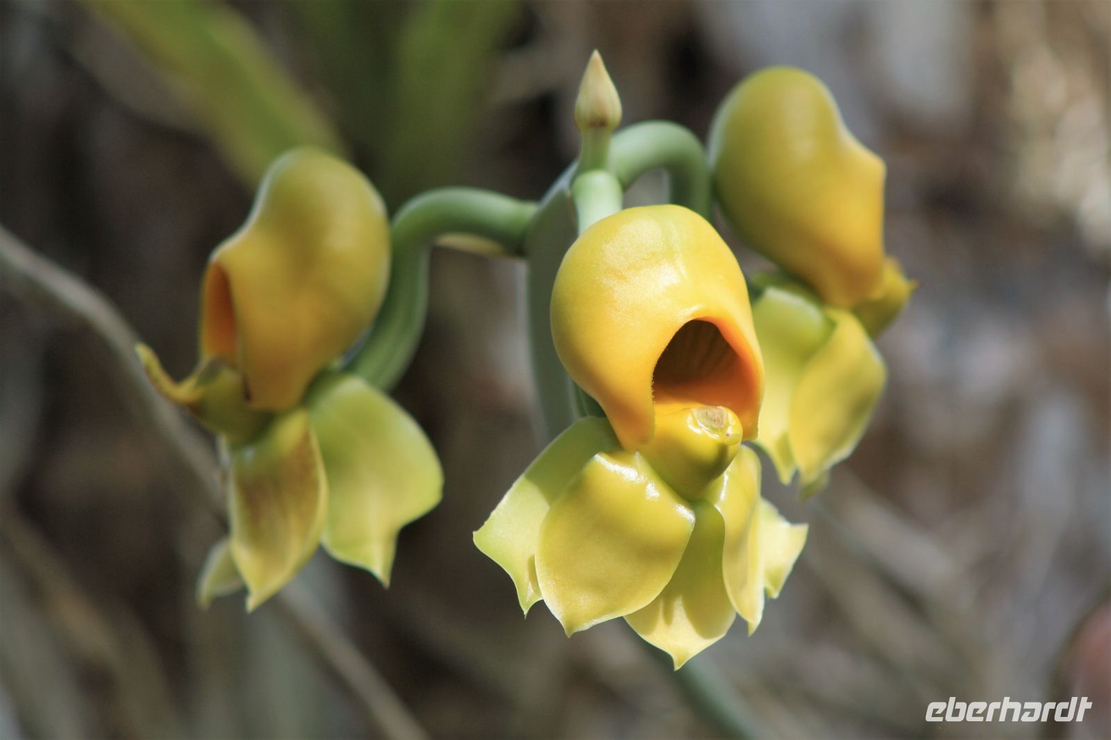 13. Tag - 26.10.21.JPG