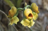 13. Tag - 26.10.21.JPG