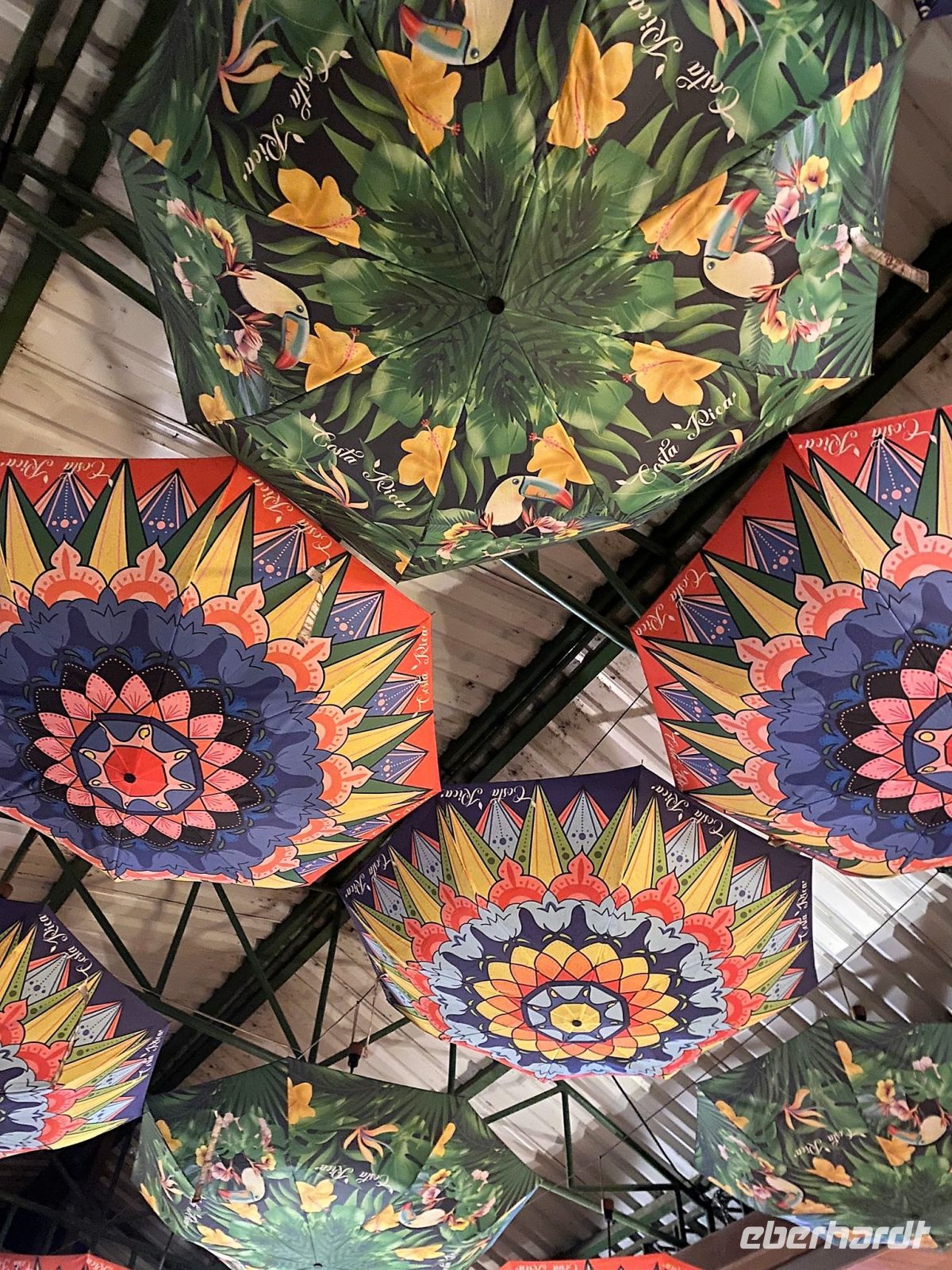 13. Tag - 26.10.21.jpg