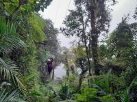 Canopy Tour in Monteverde