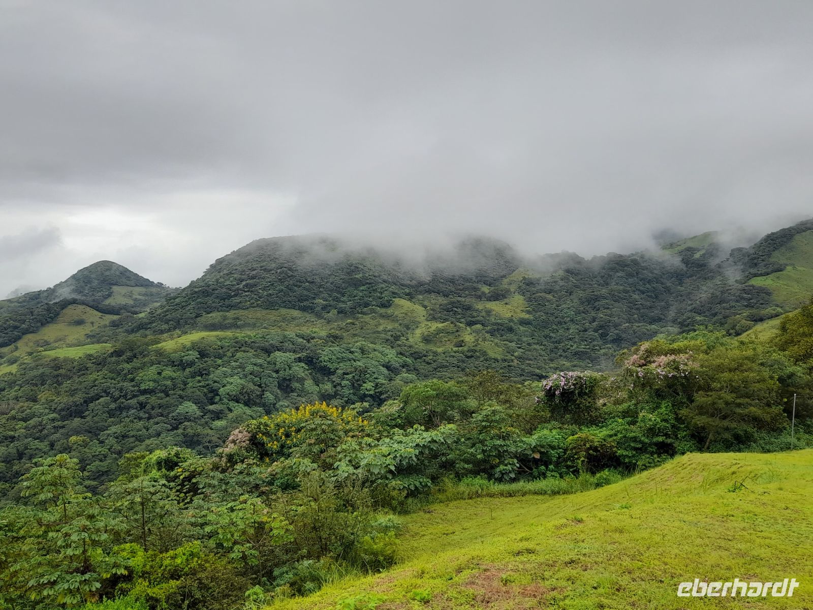 Blick auf den Nebelwald von Monteverde