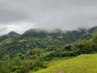 Blick auf den Nebelwald von Monteverde