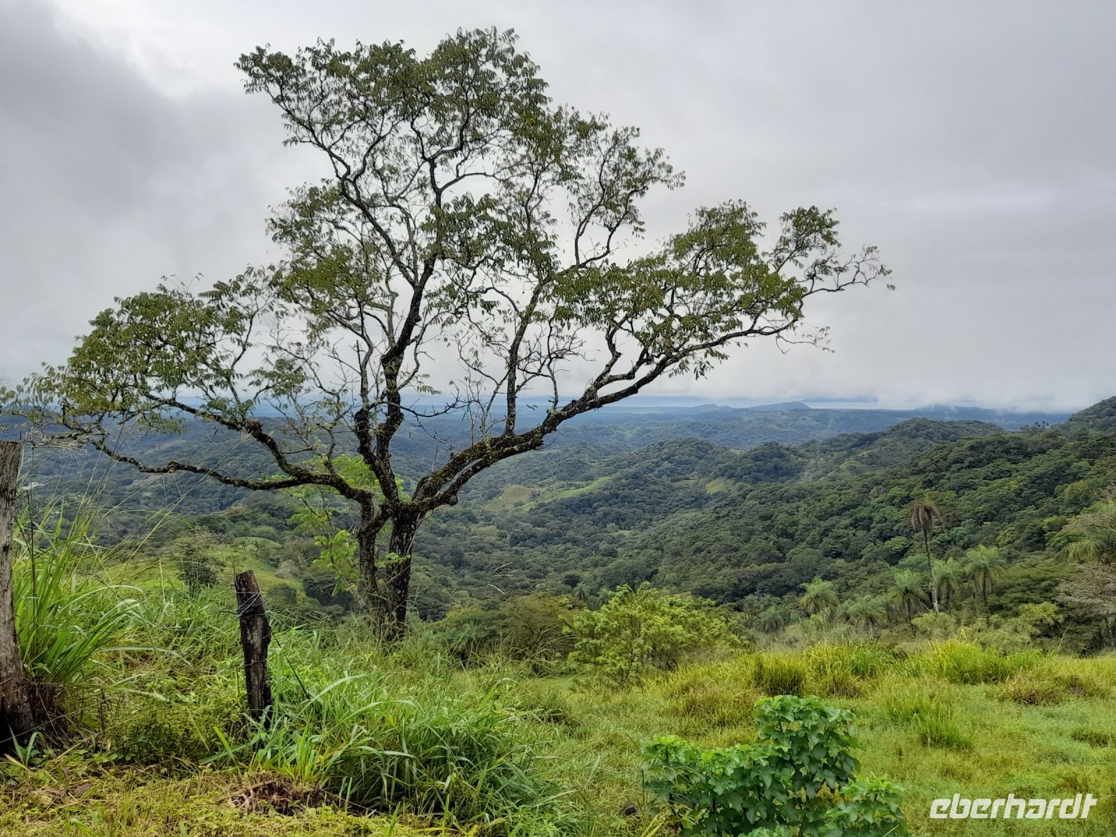 Blick auf den Pazifik von Monteverde