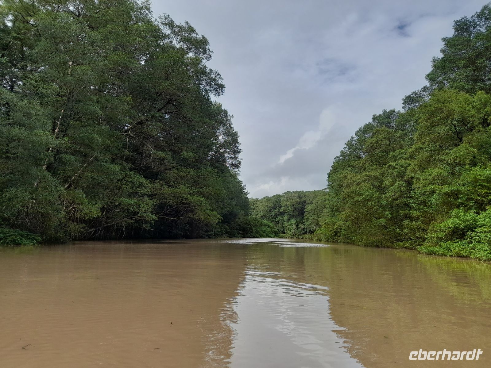 Bootsfahrt durch den Mangrovenwald von Tarcoles