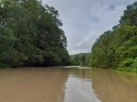 Bootsfahrt durch den Mangrovenwald von Tarcoles
