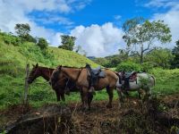 Wanderung zum Wasserfall Eco Chontales
