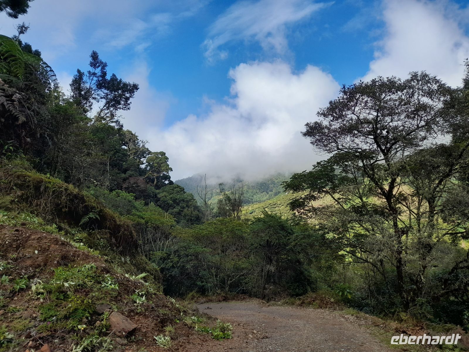 Wanderung in der Savegre Lodge