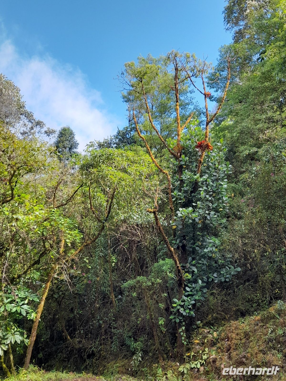 Wanderung in der Savegre Lodge