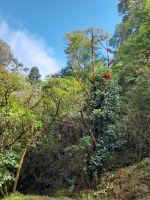 Wanderung in der Savegre Lodge