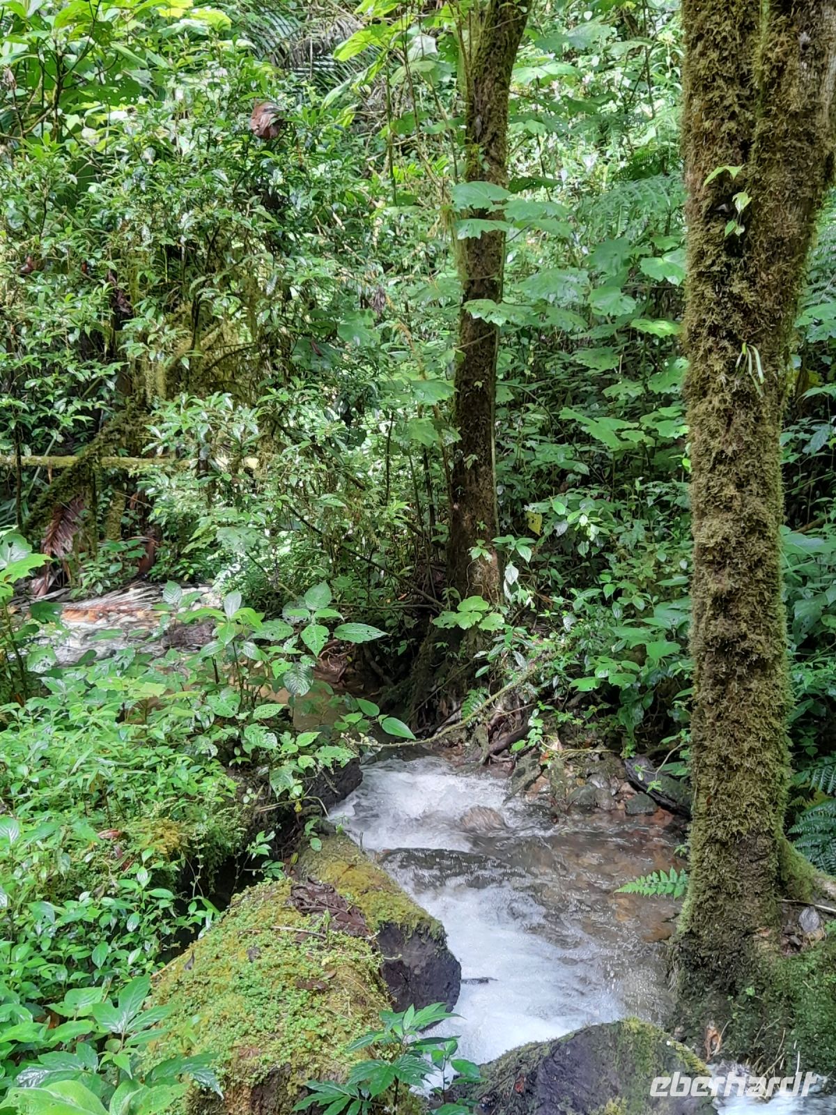 Wanderung in der Savegre Lodge
