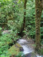 Wanderung in der Savegre Lodge