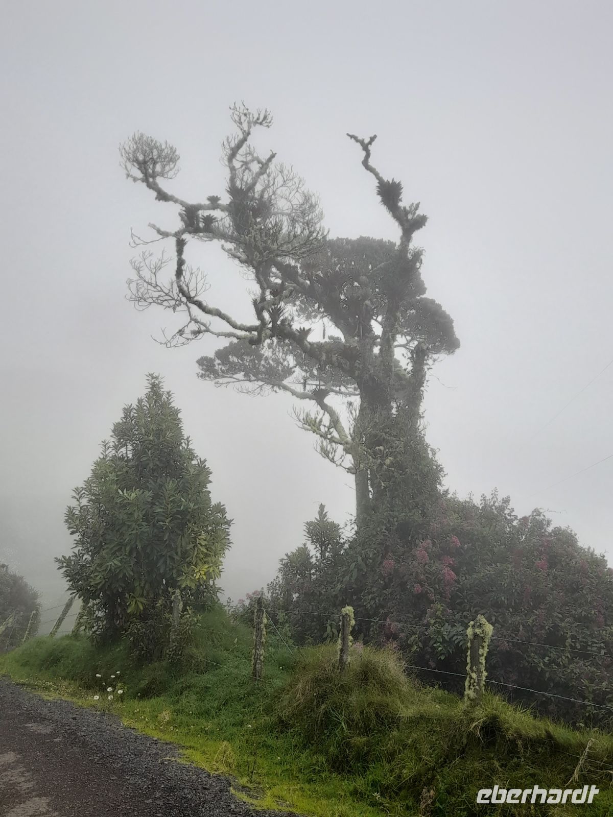 Wanderung zwischen Irazu und Turrialba