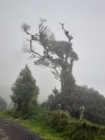 Wanderung zwischen Irazu und Turrialba