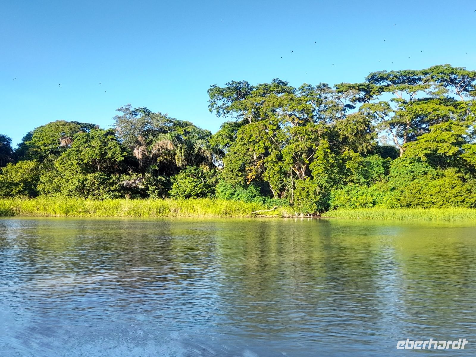 Bootsfahrt in den Tortuguero Nationalpark