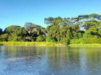 Bootsfahrt in den Tortuguero Nationalpark