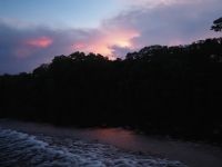 Bootsfahrt in den Tortuguero Nationalpark