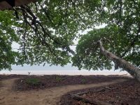 Cahuita Nationalpark