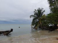 Cahuita Nationalpark