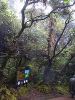 Im Nationalpar Vulkan Poas